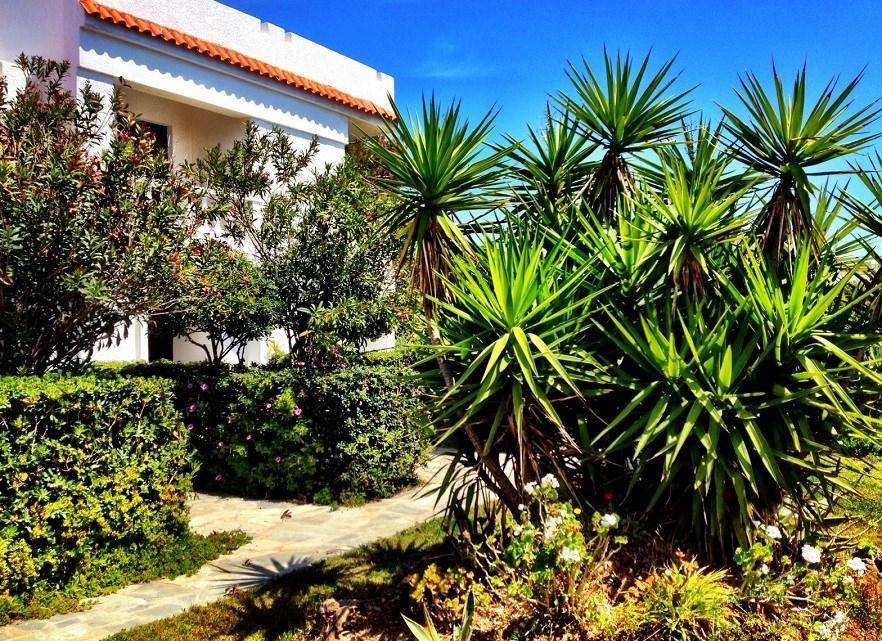 Irene Villas — Řecko, Ierapetra