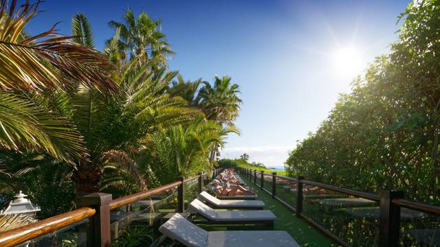 Parque Tropical — foto 3