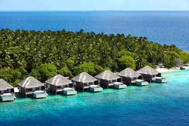Dusit Thani Maldives — foto 3
