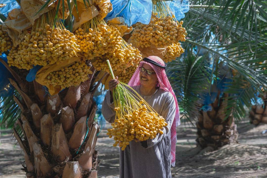 Oáza Síwa s pobytem u moře — Egypt, Marsa Matrouh