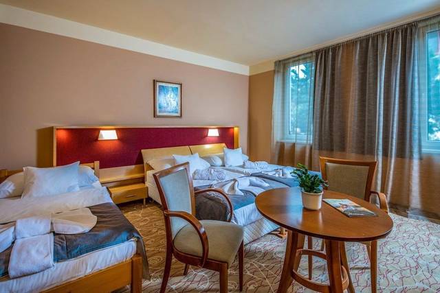Dráva Hotel Thermal Resort — foto 3