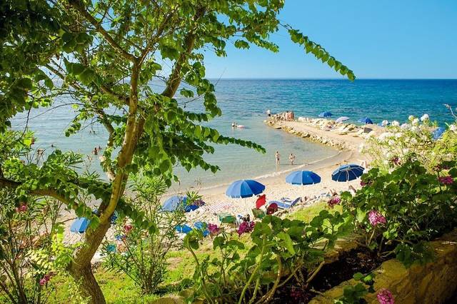 Alexandra Beach Resort & Spa — foto 3