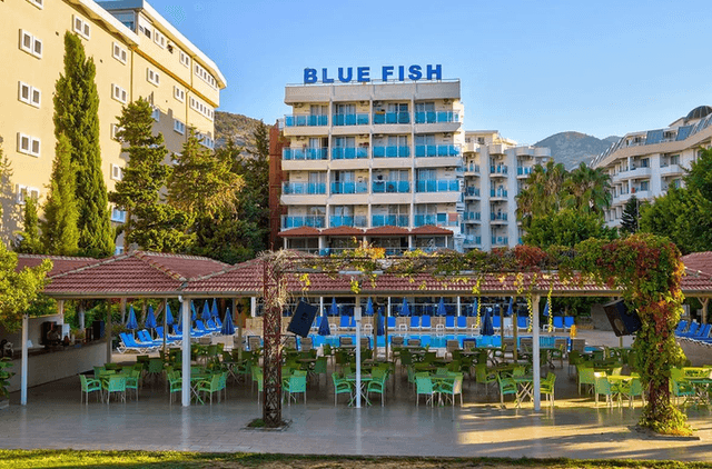 Blue Fish – fotografie 1