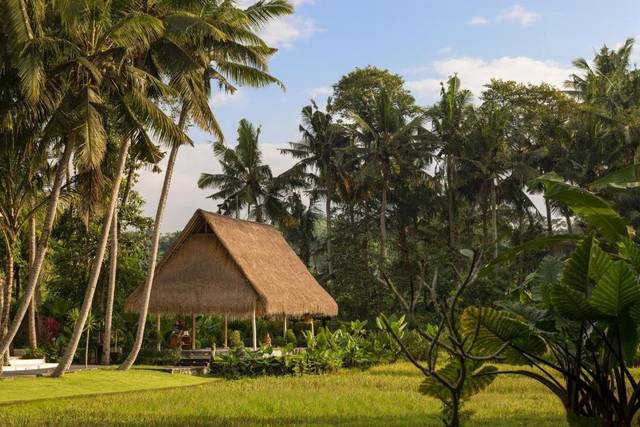 The Ubud Village Resort & Spa — foto 3