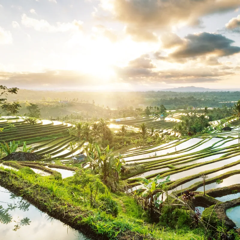 Bali